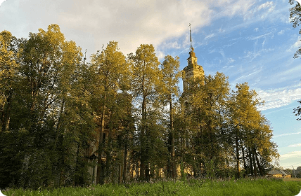 картинка новости